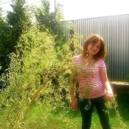 Vika, 46Gali, Georgia 