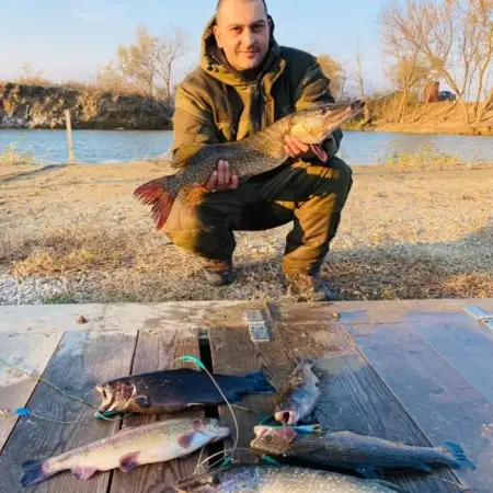 Artur, 46Saratov, Russia 