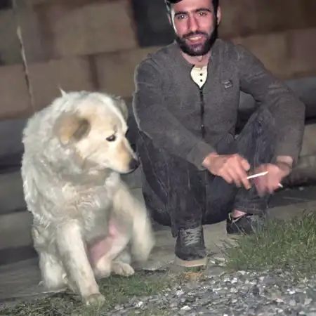 Armen, 26Armenia 
