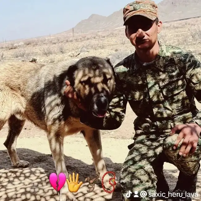 Gagik, 27, Yerevan, Armenia - Armenian Dating