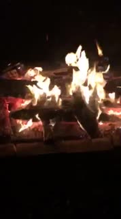 Video 1: Preview
